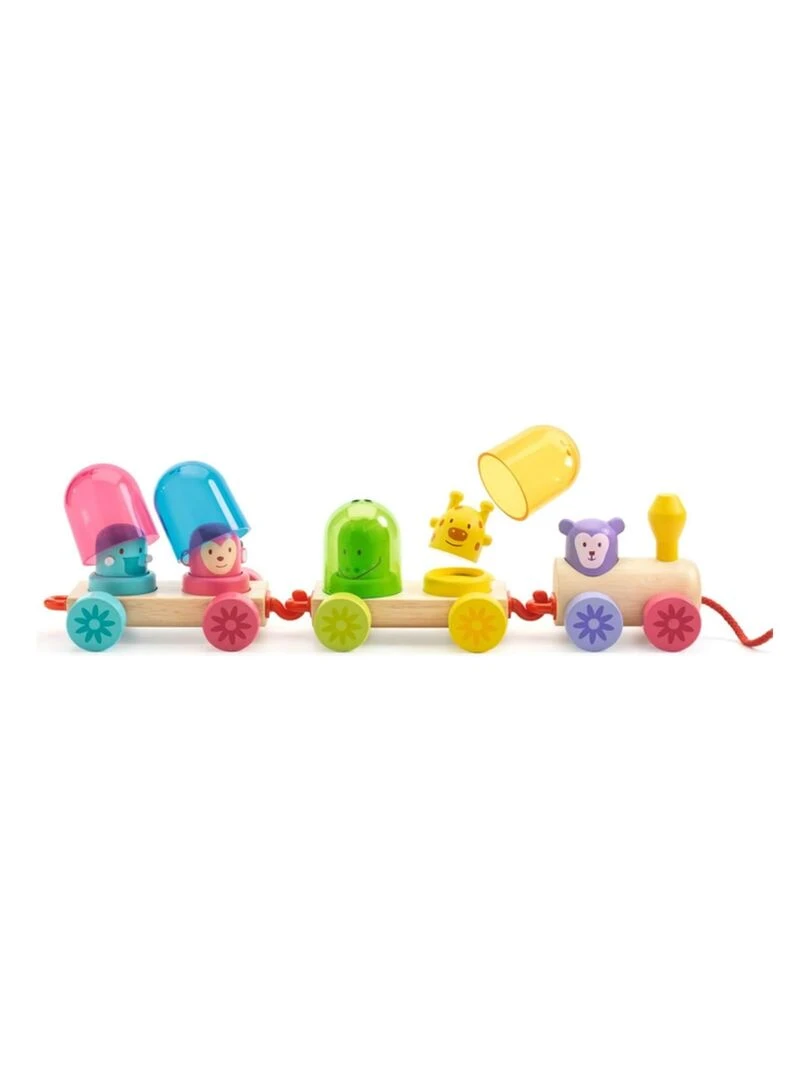 Rainbow Train N/A