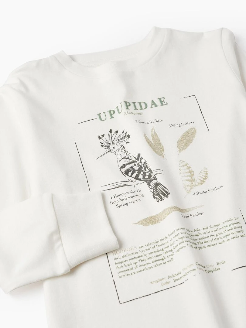 T shirt à manches longues pour garçon 'Upupidae' manches longues   Blanc