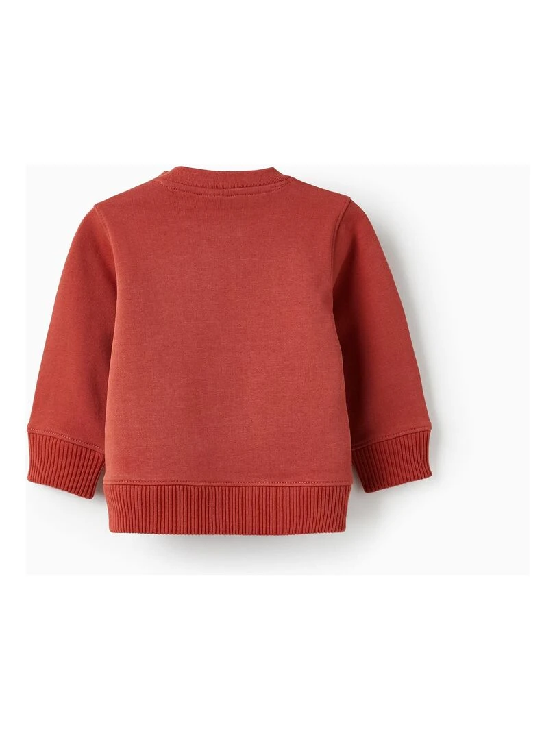 Pull en coton pour bébé garçon 'Stork Watch Crew'  ATLANTIC COMPANY   Rouge