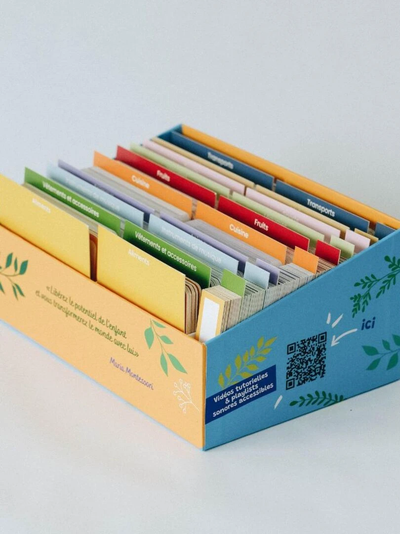 Giga Mondy 600 cartes classifiées Montessori N/A