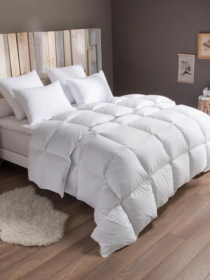 DODO Pack Duvet Couette chaude + Oreiller 50% duvet de canard Blanc