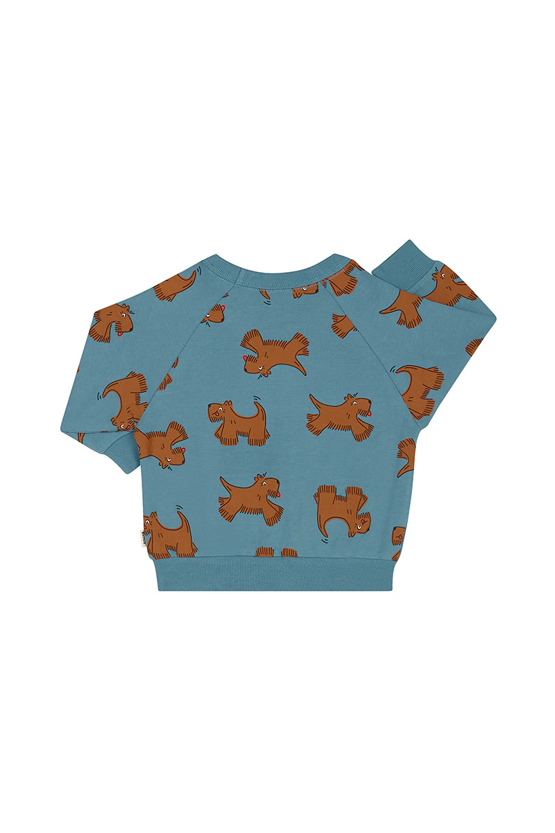Soft Threads Pullover