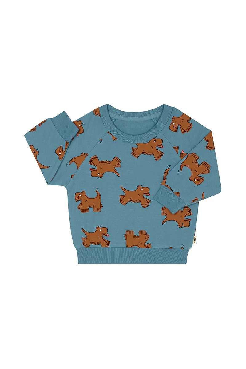 Soft Threads Pullover