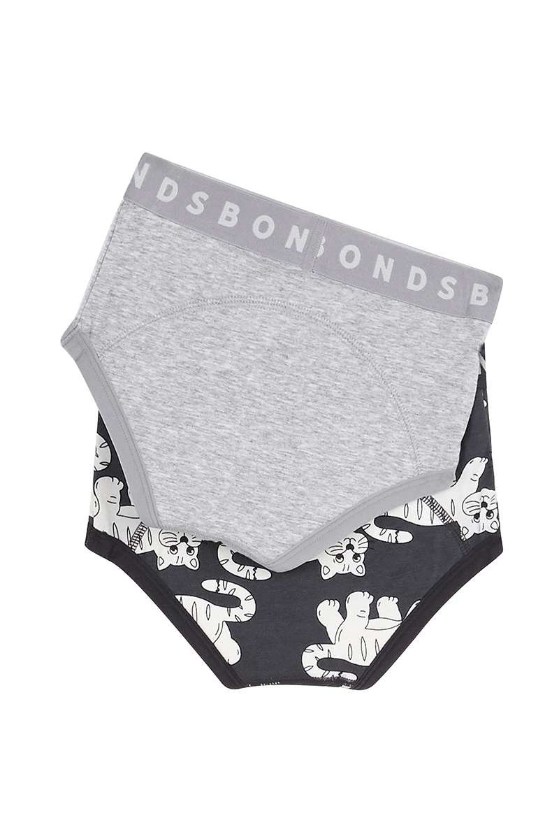 Whoopsies Toilet Training Undies 2 Pack