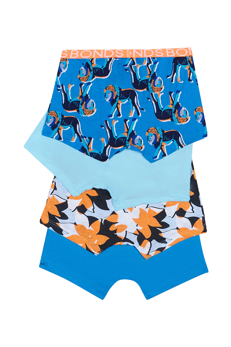 Boys Trunk 4 Pack
