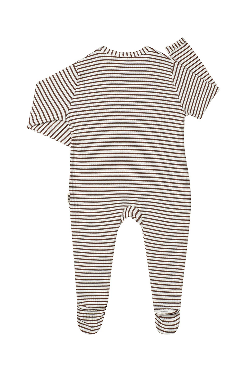 Newbies Rib Zippy