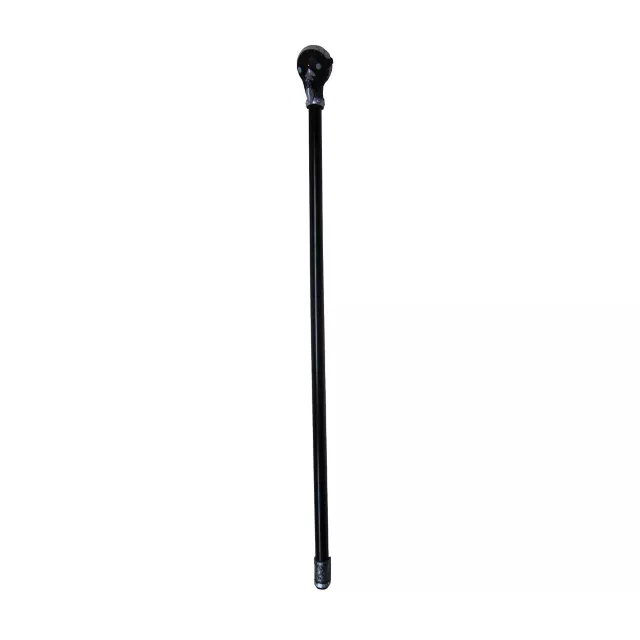Raven Plague Doctor Staff
