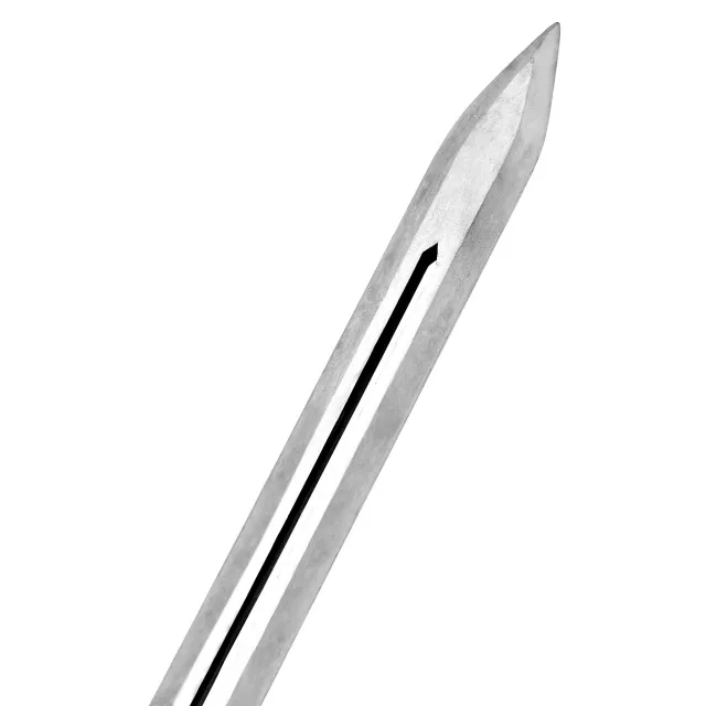 Lion Sword