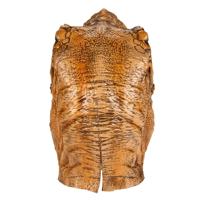 T-Rex Full Mask and Claws Set - Jurassic Park