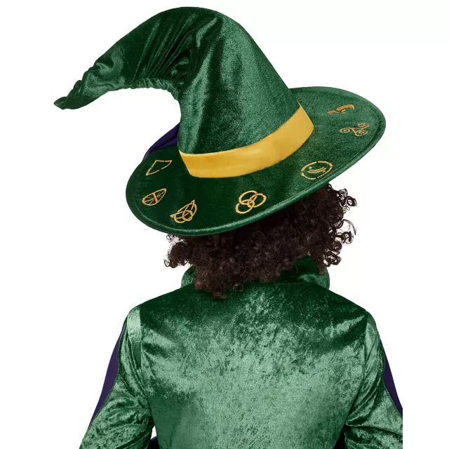Kids Winifred Sanderson Witch Hat - Hocus Pocus