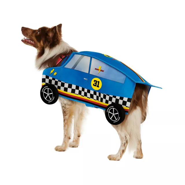 Racecar Pet Costume