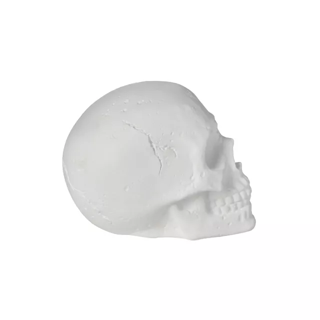 White Skull Tabletop Decoration