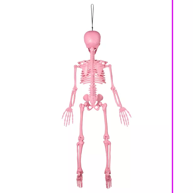 Pink Skeleton - 36 Inches