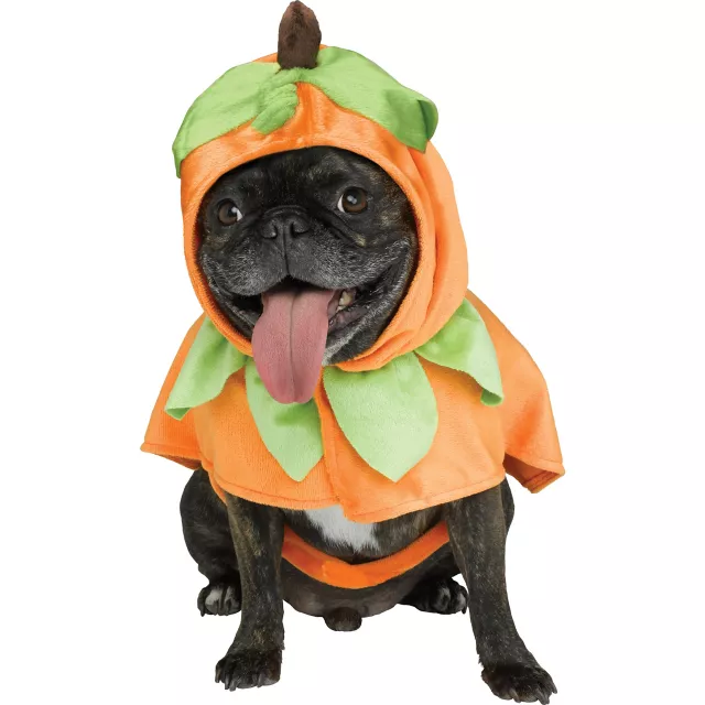 Pumpkin Pet Costume