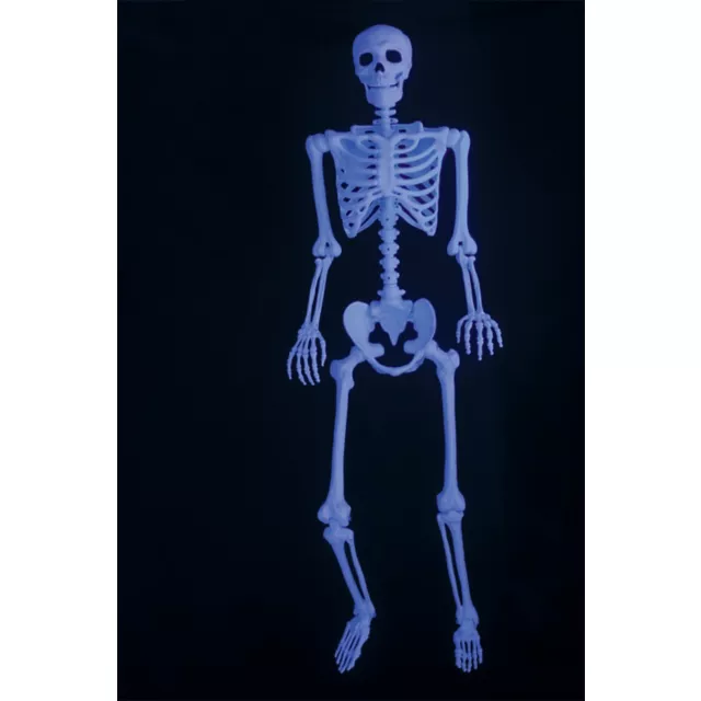 5 Ft Black Light Pose 'N' Stay Skeleton