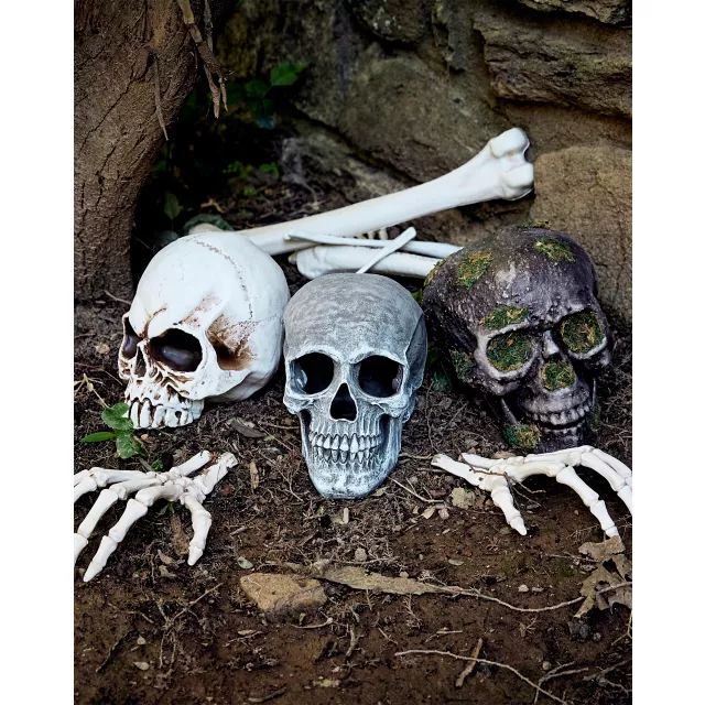 Large Realistic Skull Prop