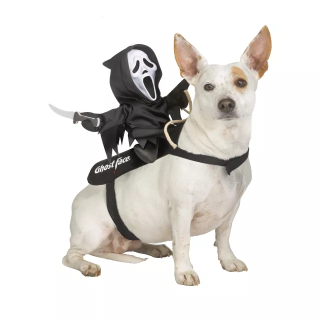 Ghost Face Rider Vest Pet Costume