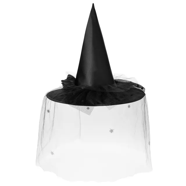 Black Spider Witch Hat