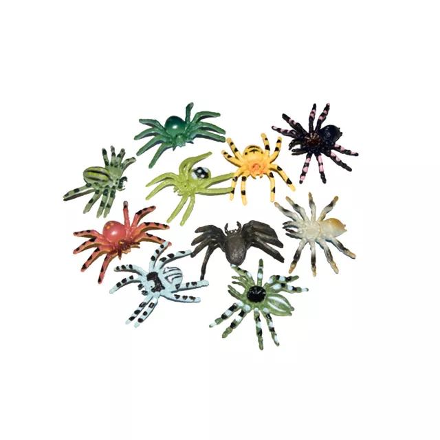Multicolor Spider 24-Pack