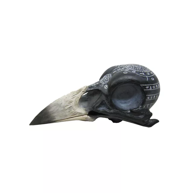 Mystical Arts Crow Skull