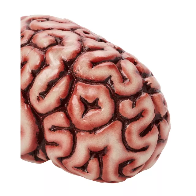 Brain Prop
