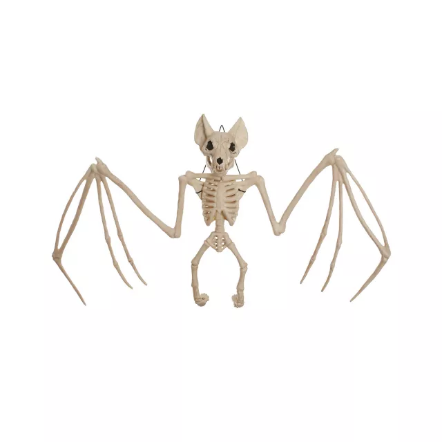 22.5 Inch Bat Skeleton