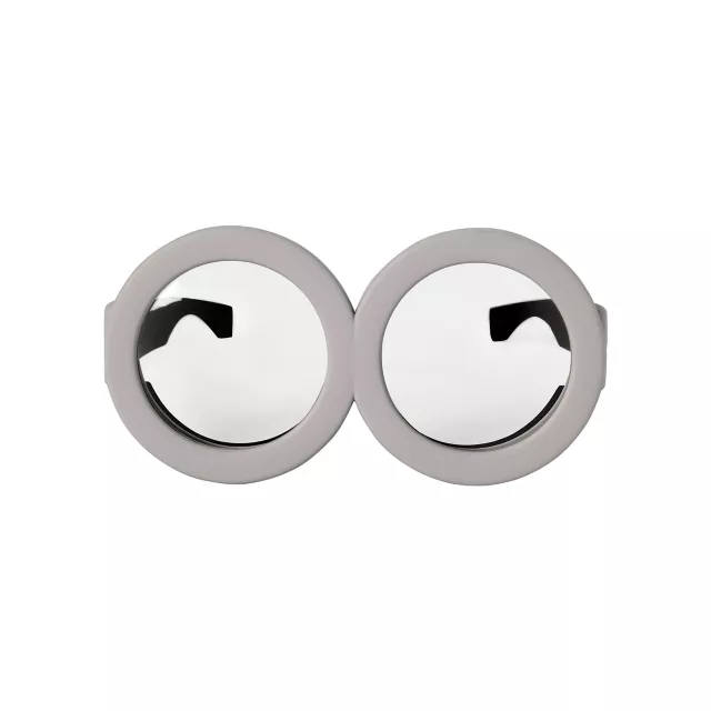 Kids Minion Goggles