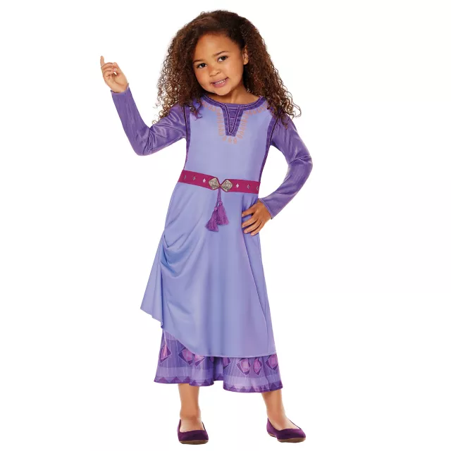 Toddler Asha Dress Costume - Wish