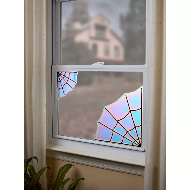 Iridescent Spider Web