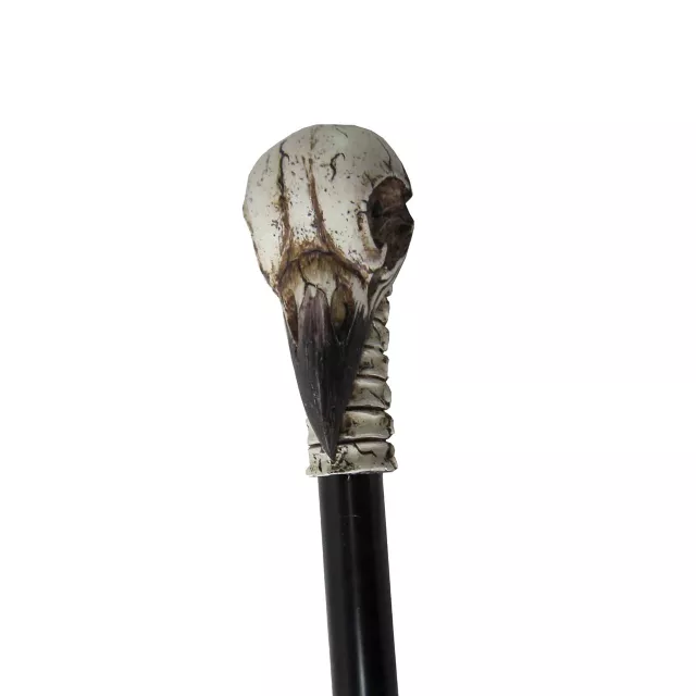 Raven Skull Staff