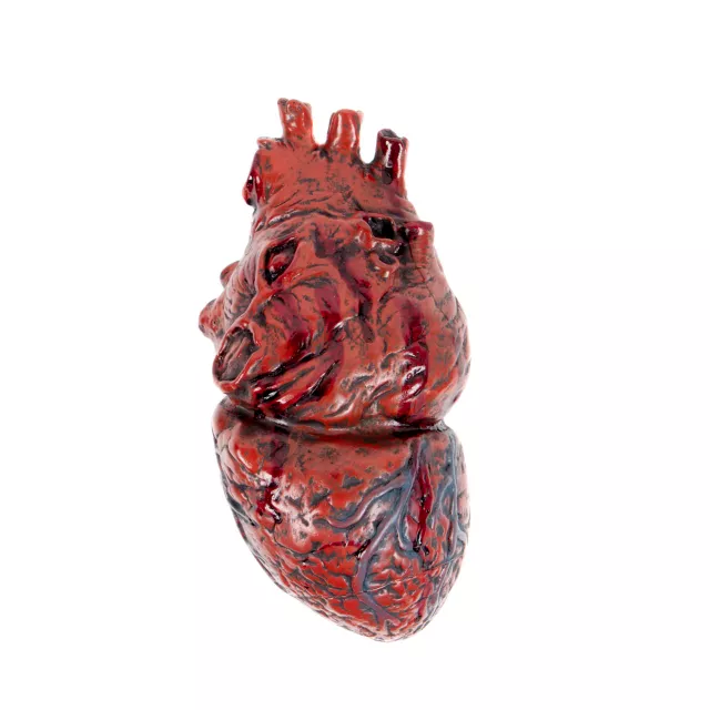 Human Heart