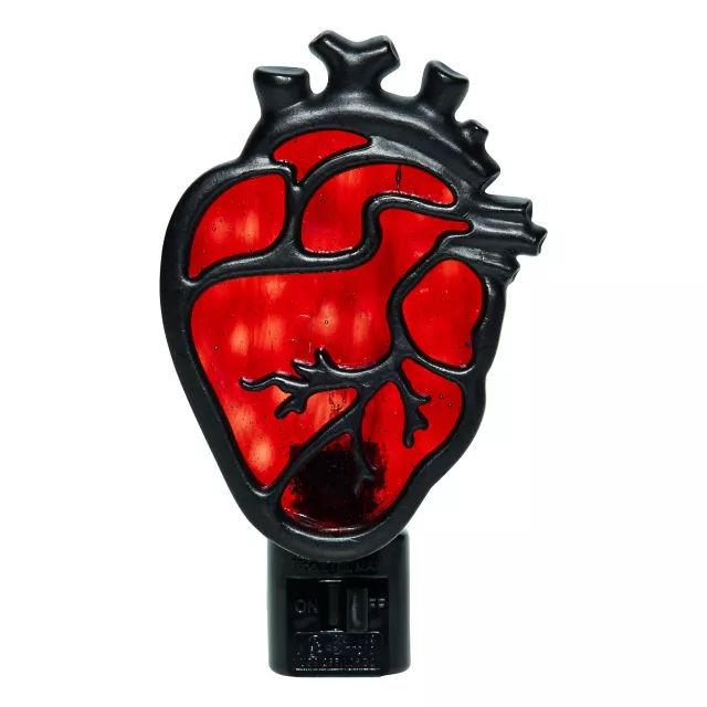 Stained Glass Anatomical Heart Nightlight