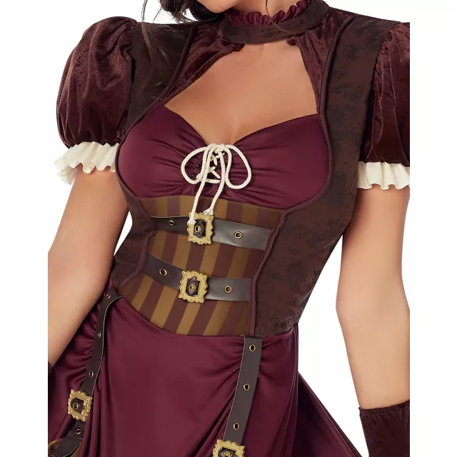Adult Steampunk Dress Costume