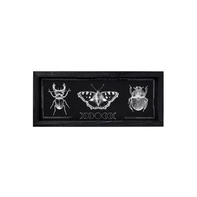 Insect Moon Phase Sign