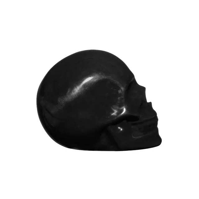 Black Skull Tabletop Decoration