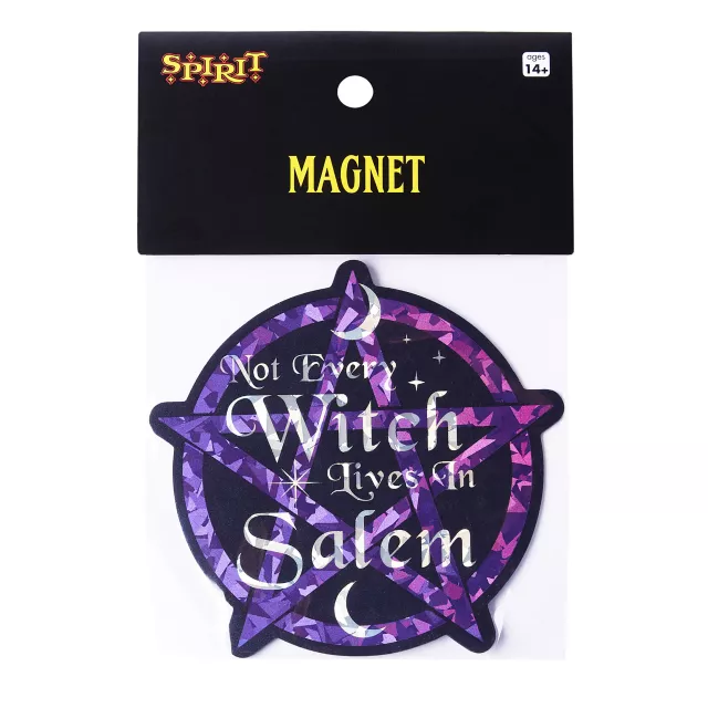 Not Every Witch Lives in Salem Magnet
