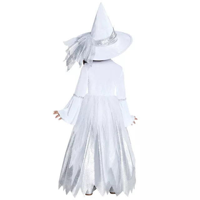 Toddler Wintery Witch Costume