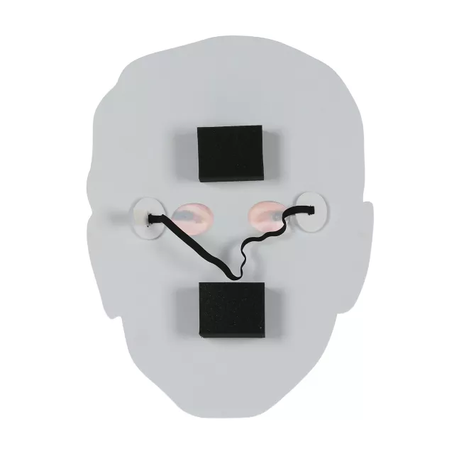 Joe Biden Flat Half Mask