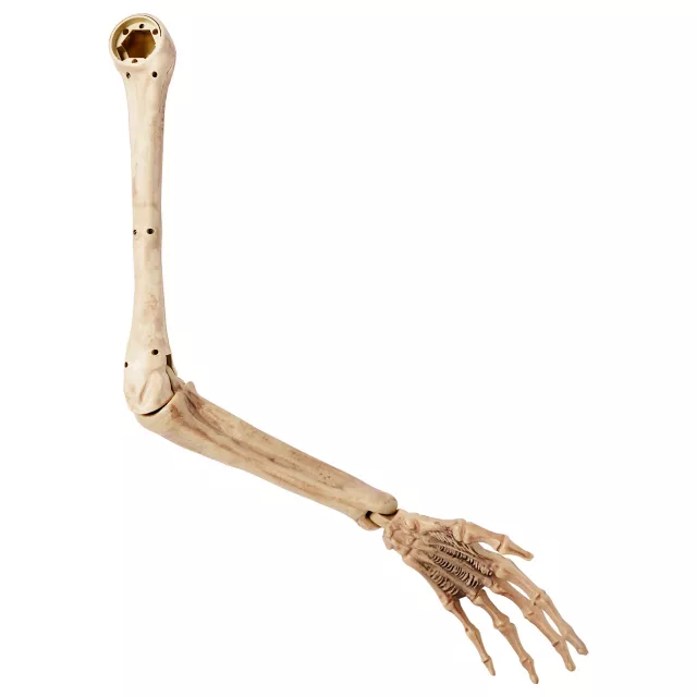 Skeleton Arm Prop - 2023 Spirit Hallows Cemetery