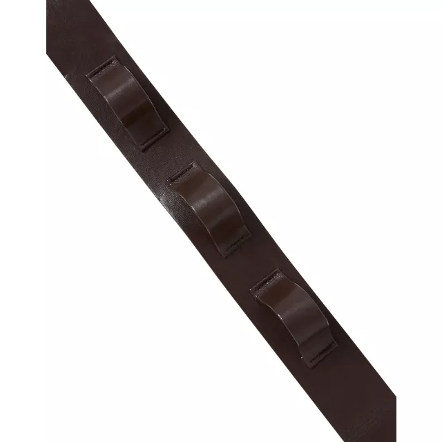 Brown Belt Holster