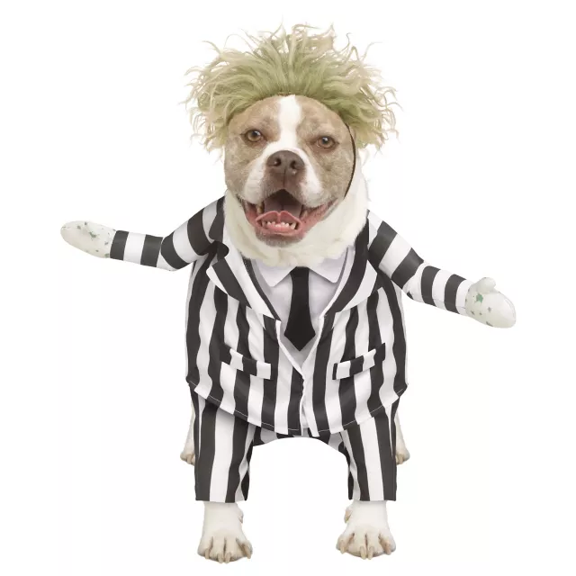 Beetlejuice Pet Costume