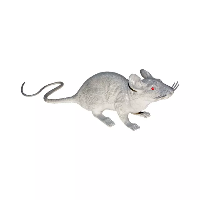 Squeaky Rat