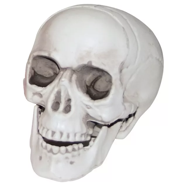 3 Inch Skull - Decorations