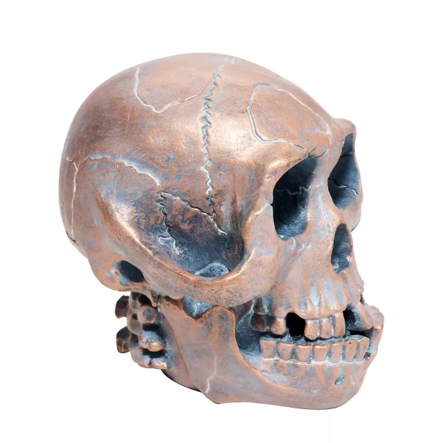 Resin Skull