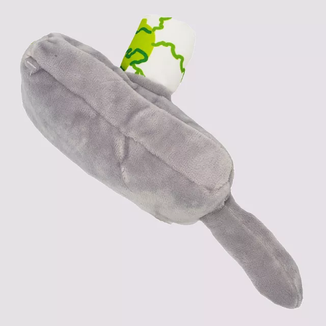 Buckle-Down Portal Gun Dog Toy - Rick and Morty