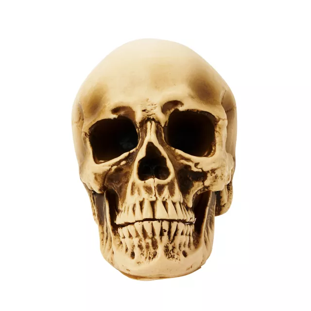Vinyl Skull
