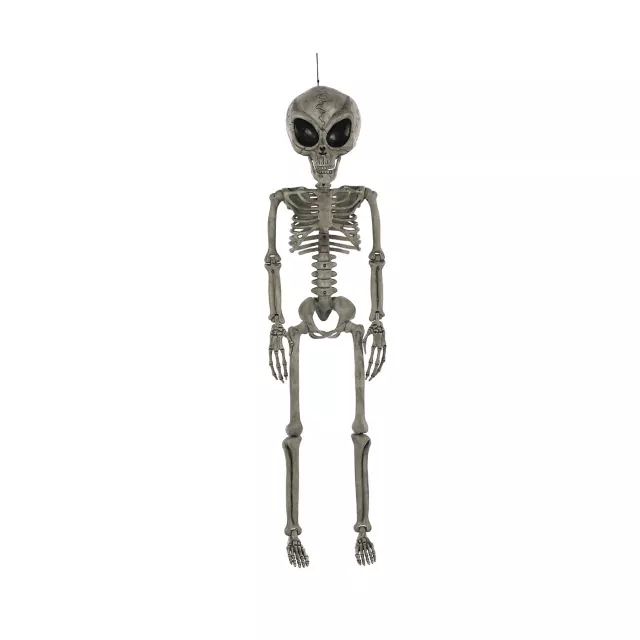 Alien Skeleton - 36 Inches