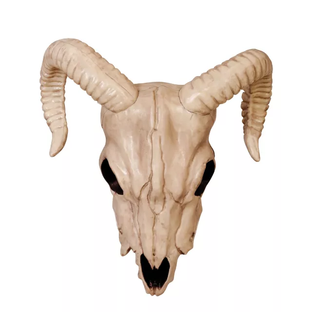 Ram Skull Decoration