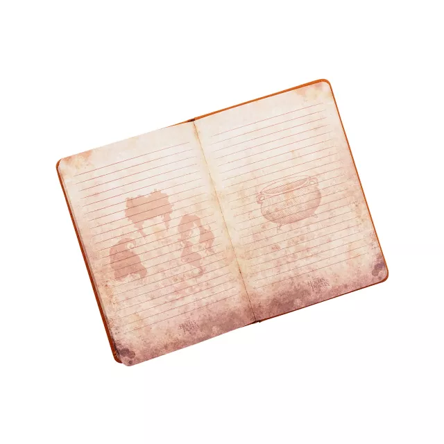 Hocus Pocus Journal - Deluxe