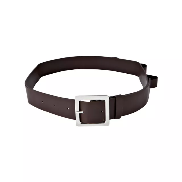 Brown Belt Holster